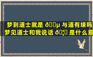 梦到道士就是 🐵 与道有缘吗,梦见道士和我说话 🦄 是什么意思